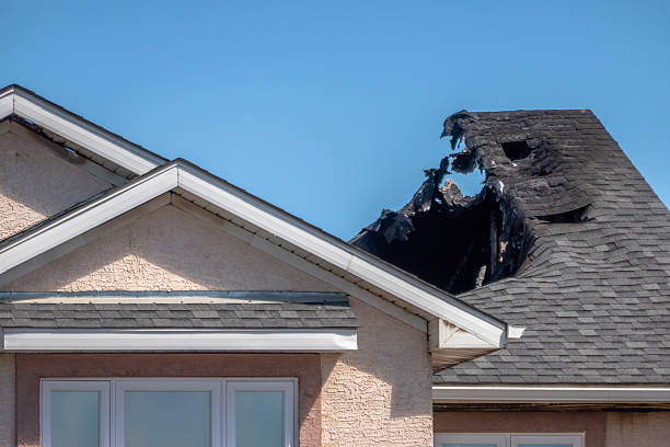 Top rated local Fire Damage Assessment specialists in Palmyra, WI